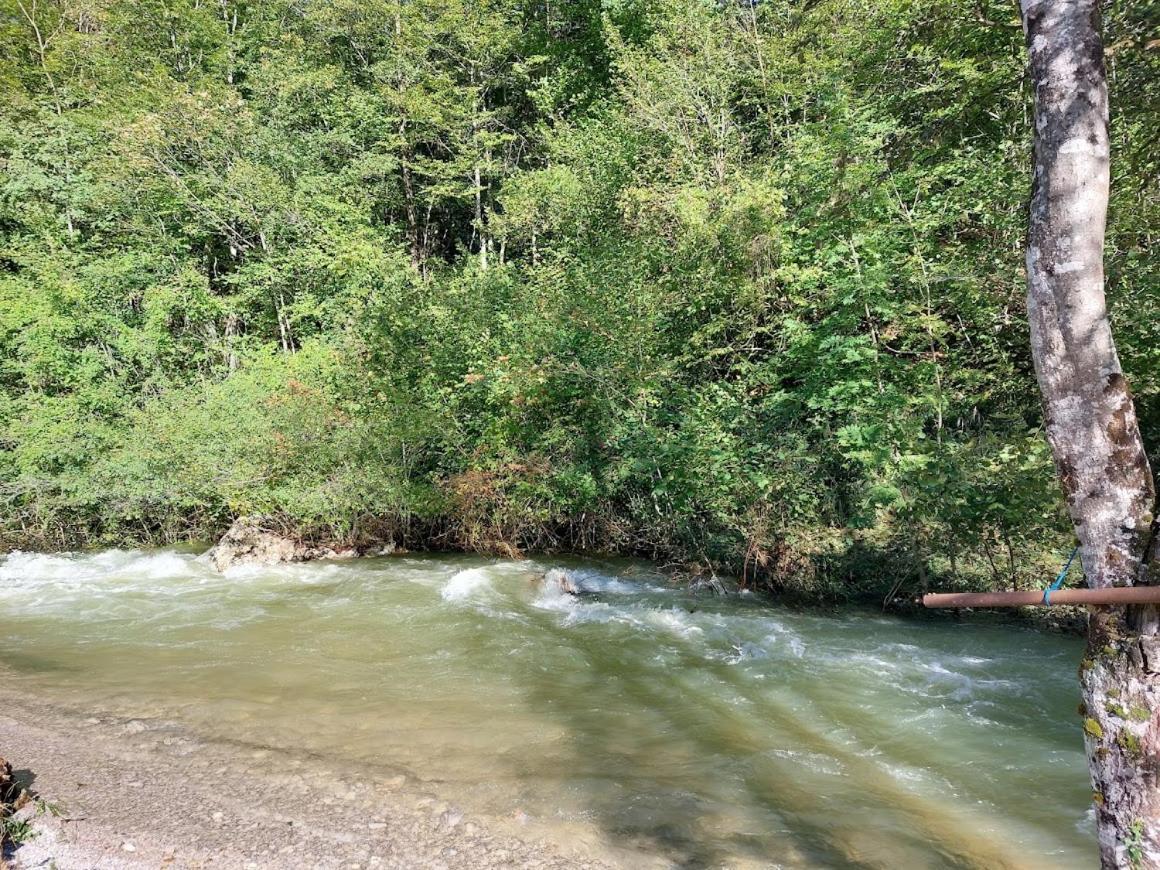 Počitniška hiša Domacija Pri Ivankovih Osilnica