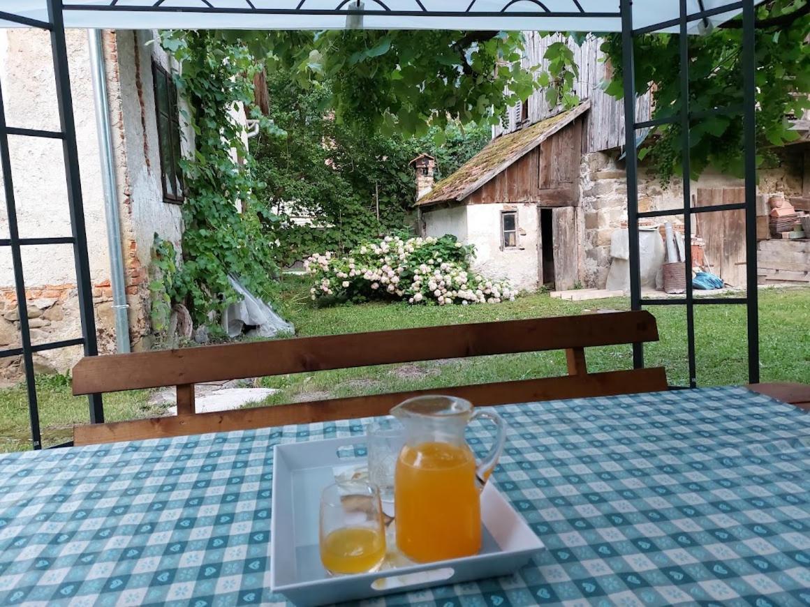 Domacija Pri Ivankovih Počitniška hiša Osilnica