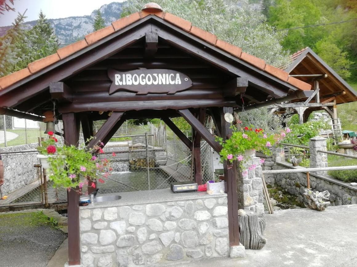 Počitniška hiša Domacija Pri Ivankovih