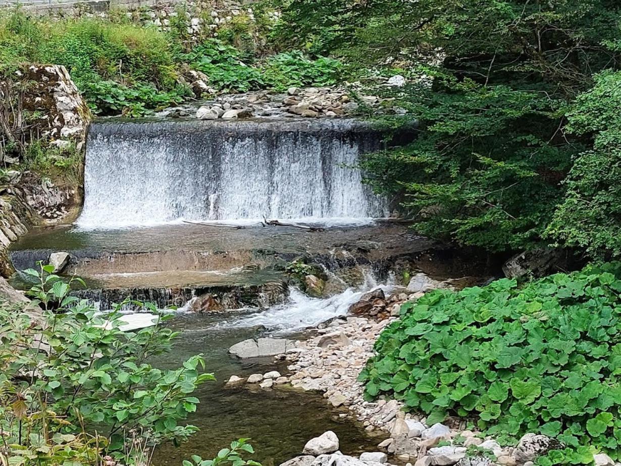 Domacija Pri Ivankovih Osilnica