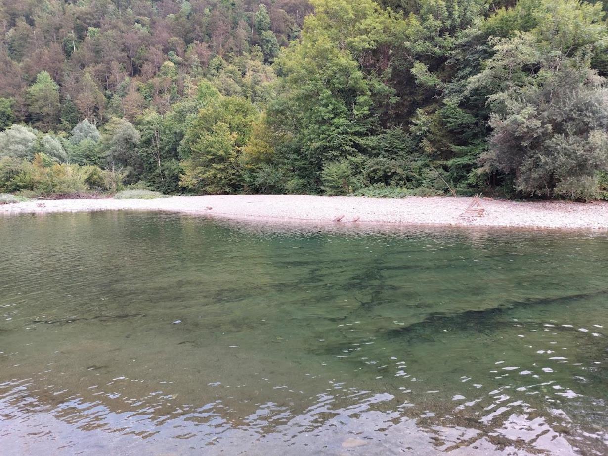 Domacija Pri Ivankovih * Osilnica