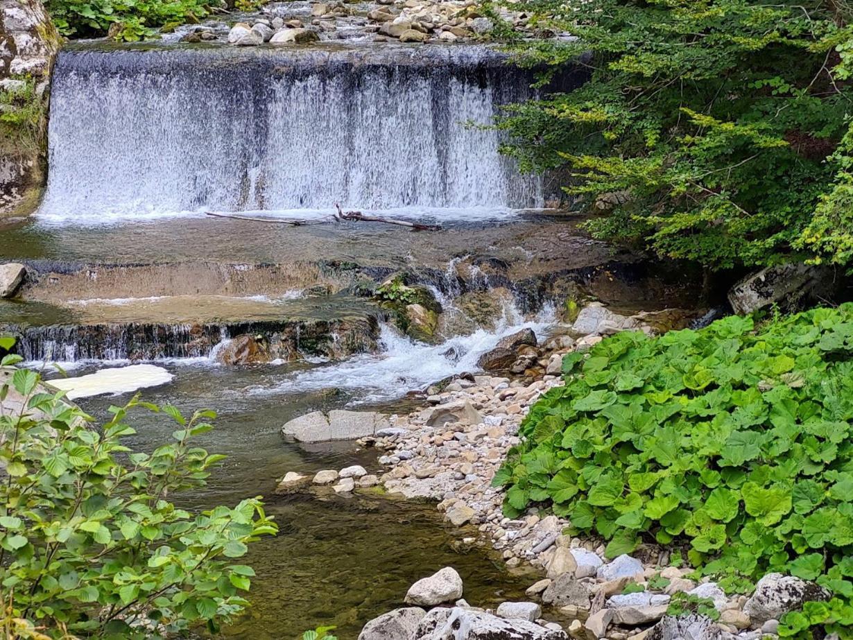 Domacija Pri Ivankovih Počitniška hiša